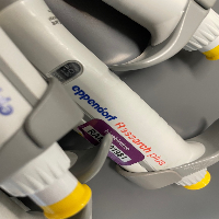 Lot Of Eppendorf Research Plus Single Channel Pipettes image 0